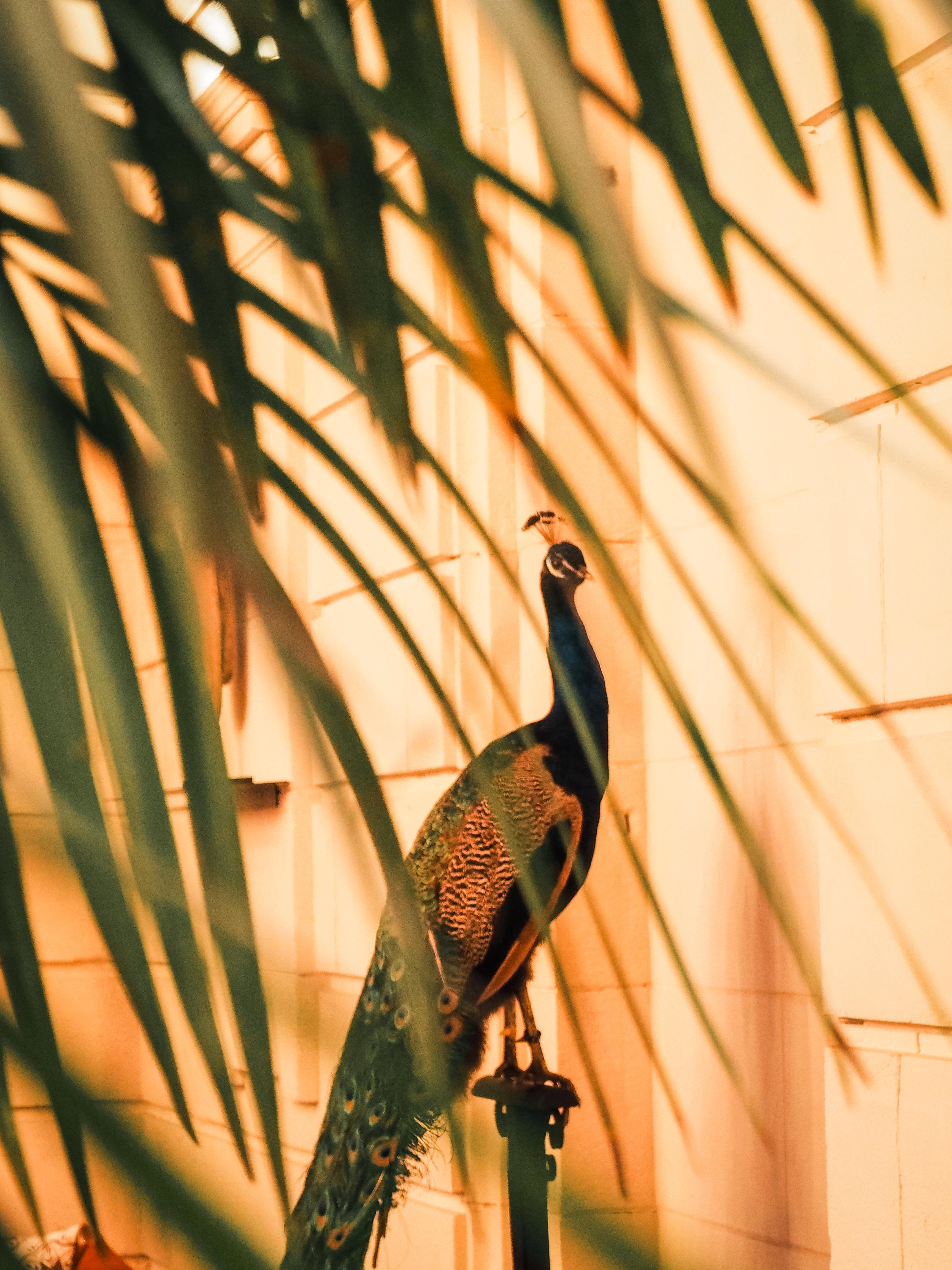 Hotel La Zoologie & Spa Bordeaux Zewnętrze zdjęcie